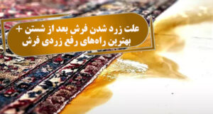 علت زرد شدن فرش بعد از شستن + بهترین راه‌های رفع زردی فرش